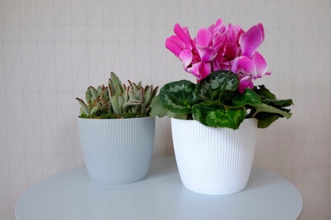 Osłonka-doniczka MAGNOLIA jumper fi 300 - awokado