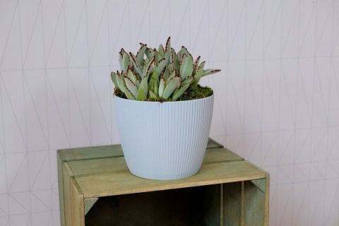 Osłonka-doniczka MAGNOLIA jumper fi 300 - awokado