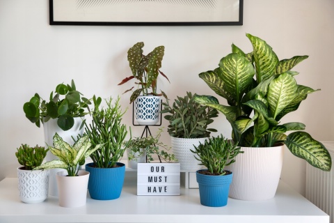 Osłonka-doniczka MAGNOLIA jumper fi 300 - jasny szary