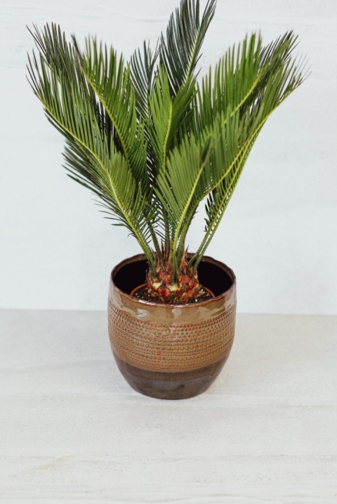 Osłonka na doniczkę ceramiczna brązowa szkliwiona