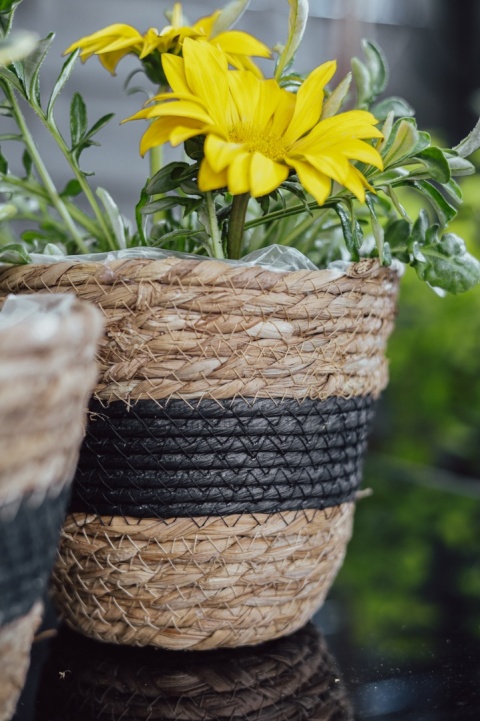 Zestaw osłonek z trawy morskiej BLACK 3 szt.