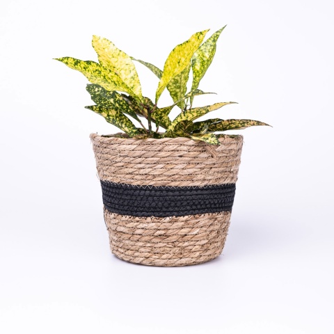 Zestaw osłonek z trawy morskiej BLACK 3 szt.