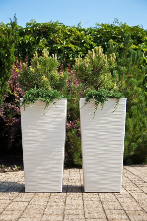 DONICZKA FINEZJA DŁUTO 19cm KREM