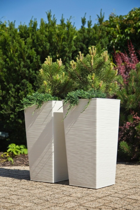 DONICZKA FINEZJA DŁUTO 25cm KREM