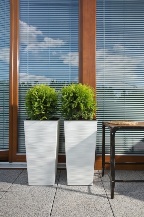 DONICZKA FINEZJA DŁUTO 25cm KREM