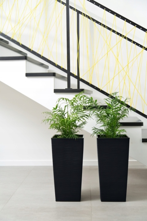 DONICZKA FINEZJA DŁUTO 25cm KREM