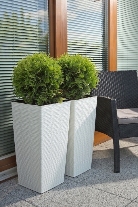 DONICZKA FINEZJA DŁUTO 25cm KREM