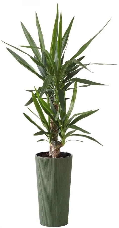 Donica LILIA ECO wood 250 jumper - bialy