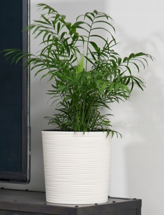 Donica MALWA 250 dłuto - biały