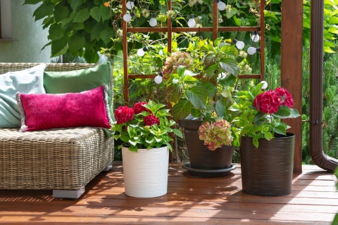 Donica MALWA 250 dłuto - czarny