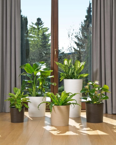 Donica MALWA 250 dłuto - czarny