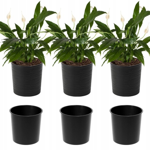 Donica MALWA 300 dłuto - czarny