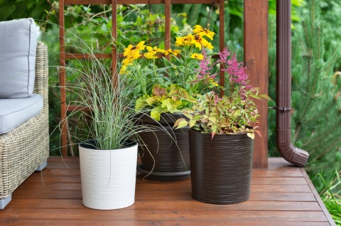 Donica MALWA 300 dłuto - grafit metalik