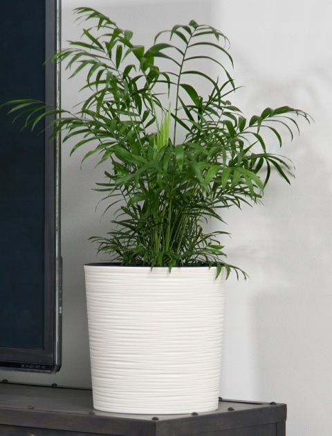 Donica MALWA 300 dłuto - kremowy