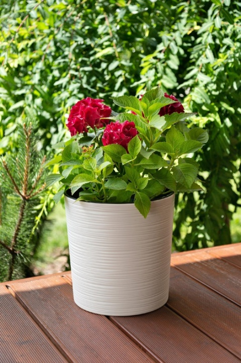 Donica MALWA 300 dłuto - kremowy