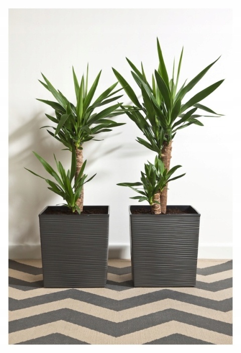 Doniczka JUKA ECO WOOD 190x190 dłuto - naturalne drewno