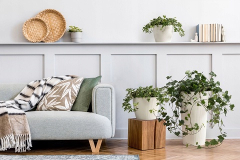 Doniczka MAGNOLIA ECO wood 260 jumper zielony leśny