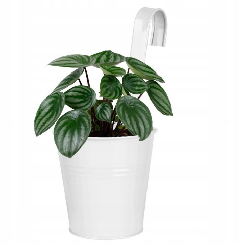 FLOWER POT WITH HOOK TWIST