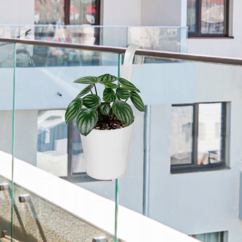 FLOWER POT WITH HOOK TWIST