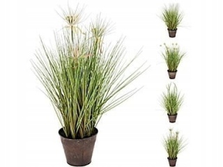 GRASS PLANT IN POT 60CM 4ASS D