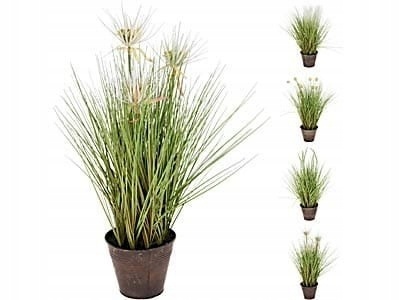 GRASS PLANT IN POT 60CM 4ASS D