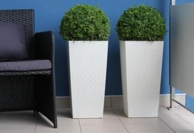 LA-573 DONICZKA FINEZJA 250X250MM BIAŁY