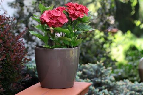 LA204 Osłonka-Doniczka MAGNOLIA 210mm /kremowy