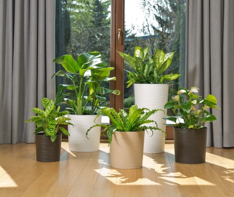 LA725-74 Doniczka LILIA 190 dłuto - kremowy 5900119747252