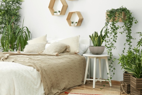 Misa MIRA ECO coffee 300 mm - espresso LA934-86