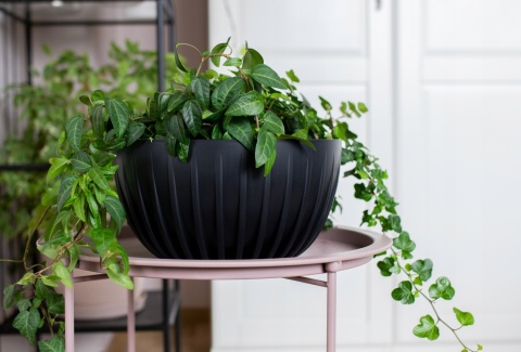 Misa MIRA ECO recycled 240 mm - czarny LA917-04