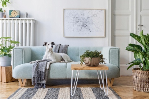 Misa MIRA ECO recycled 240 mm - czarny LA917-04