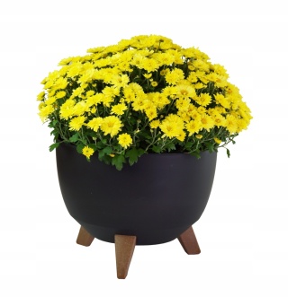 Misa ROMA 240 - czarny