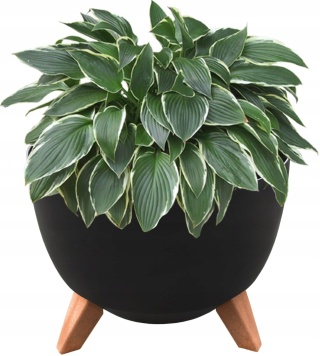 Misa ROMA 240 - czarny