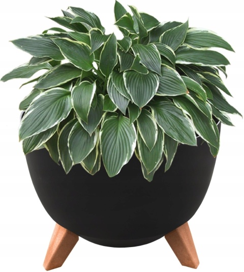 Misa ROMA 240 - czarny