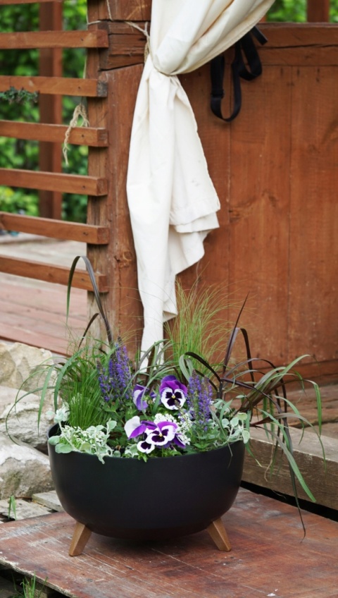 Misa ROMA 240 - kremowy LA797-74