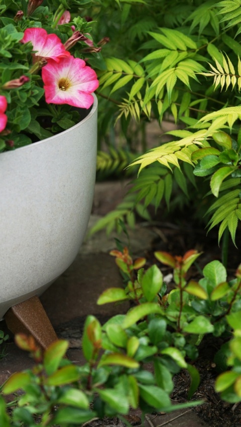 Misa ROMA 240 - kremowy LA797-74