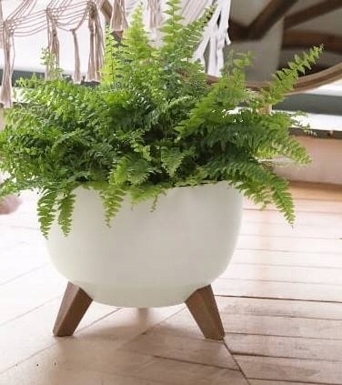 Misa ROMA 290 - czarny LA880-04