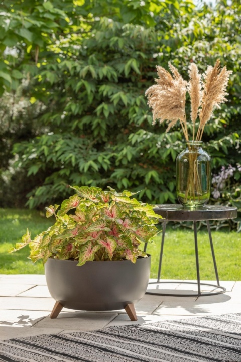 Misa ROMA 330 - antracyt