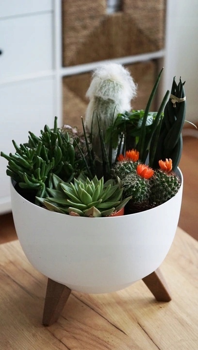 Misa ROMA 330 - biały