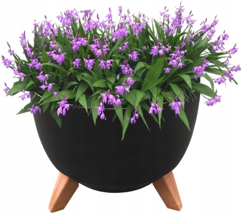 Misa ROMA 330 - czarny