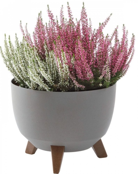 Misa ROMA ECO 290 - szary LA920-27