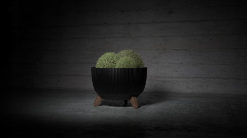 Misa ROMA ECO wood 240 jumper - naturalne drewno