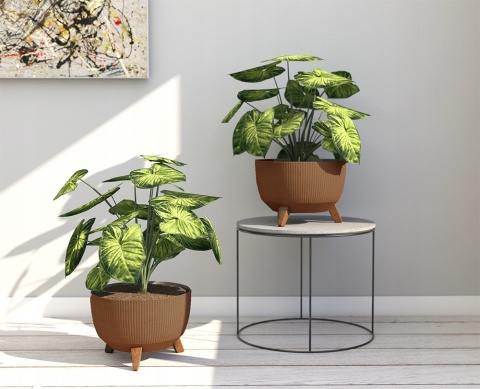 Misa ROMA ECO wood 290 jumper - naturalne drewno