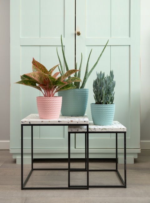 Osłonka MAGNOLIA JERSEY 220 - szary 77346