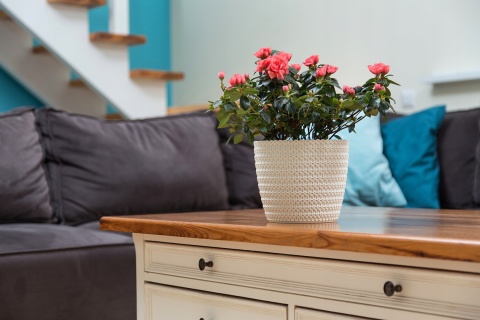 Osłonka MAGNOLIA JERSEY 220 - szary 77346