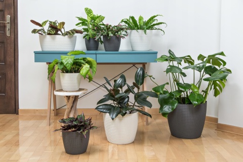 Osłonka MAGNOLIA JERSEY 220 - szary 77346