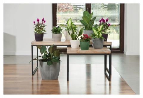 Osłonka MAGNOLIA JERSEY 260 - antra