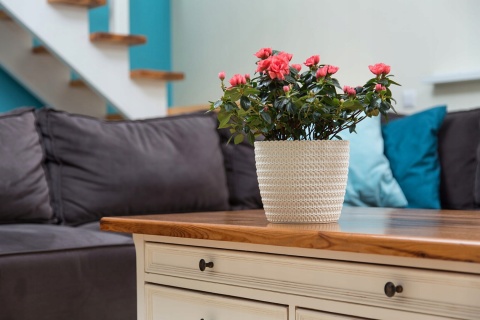 Osłonka MAGNOLIA JERSEY 260 - antra