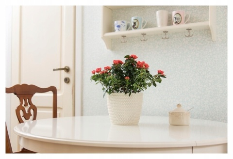 Osłonka MAGNOLIA JERSEY 260 - antra