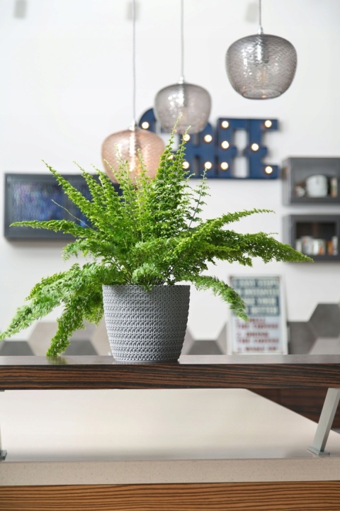 Osłonka MAGNOLIA JERSEY 300mm szary 27